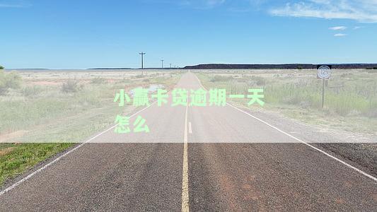 小赢卡贷逾期一天怎么