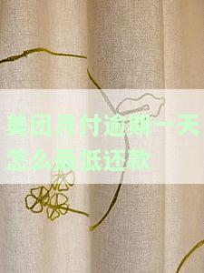 美团月付逾期一天怎么最低还款金额，如何进行美团月付逾期一天的最低还款金额操作？