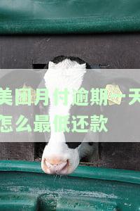 美团月付逾期一天怎么最低还款-美团月付逾期一天怎么最低还款金额