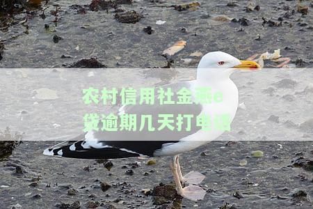 农村信用社金燕E贷利息计算方法及标准全解析