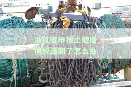 浙江省申报土地增值税逾期了怎么办理，浙江省土地增值税申报逾期，如何处理？