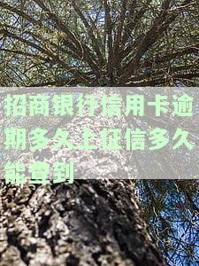 信用卡晚了6天还款上征信吗，逾期6天还款，信用卡会否影响你的信用记录？