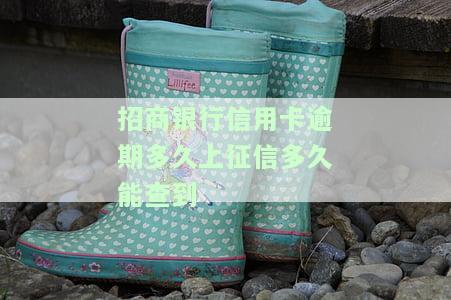 2021年招商信用卡逾期多久会上征信？影响及后果解析