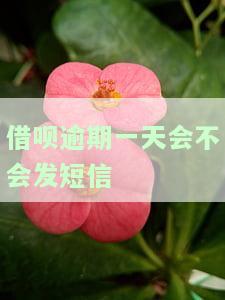 借呗逾期一天会否发短信通知？影响家人吗？