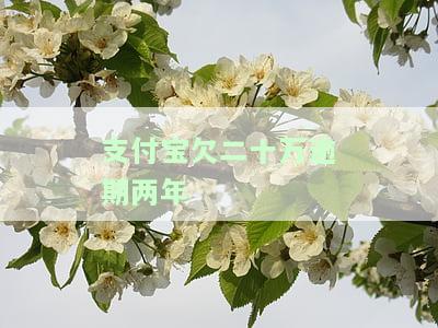 支付宝欠二十万逾期两年会有什么后果？