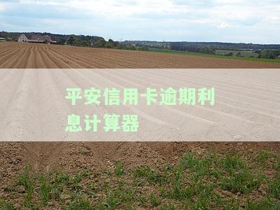 平安银行信用卡逾期：协商还款政策及被起诉风险