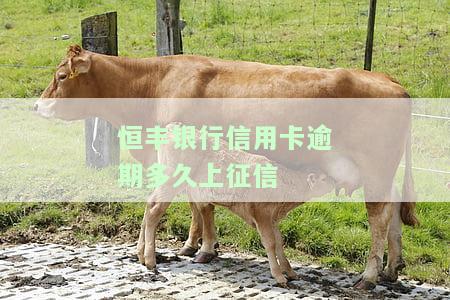 恒丰银行信用卡逾期多久上征信报告啊，恒丰银行信用卡逾期多长时间会出现在征信报告中？