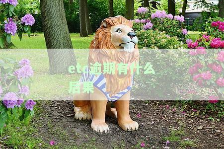 Etc逾期会影响贷款吗？详解其可能带来的后果及解决办法