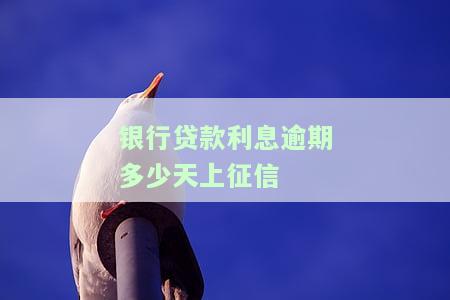 贷款银行逾期利息怎么算，房贷、车贷逾期，利息这么算才不会多还冤枉钱！