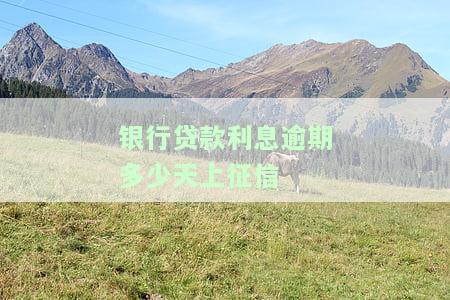 贷款利息逾期几天会如何影响您的征信？