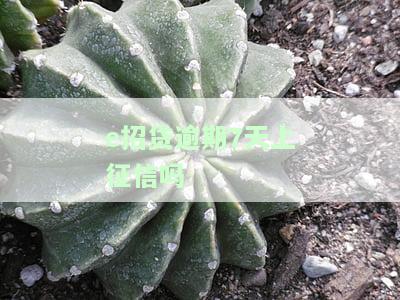 e招贷逾期7天怎么办，解决逾期问题：e招贷逾期7天的处理方法