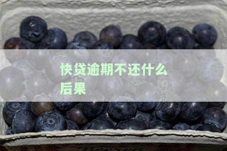 快贷逾期不还严重后果及解决办法全解析