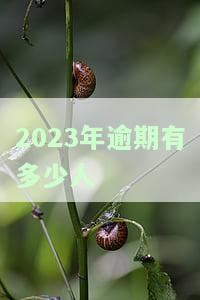 2021年逾期人数激增：究竟多少人未能按时偿还？