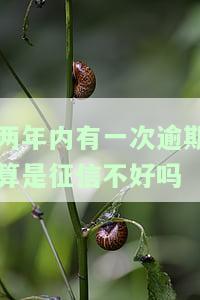 两年内有一次逾期会影响按揭吗？如何解决？能否继续贷款？