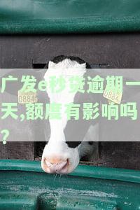 发e秒贷额度续期，如何进行发e秒贷额度的续期？