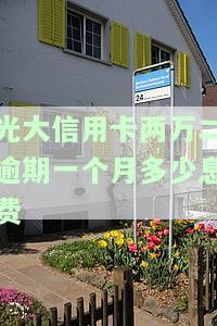 光大信用卡两万二逾期一个月利息费用计算方法