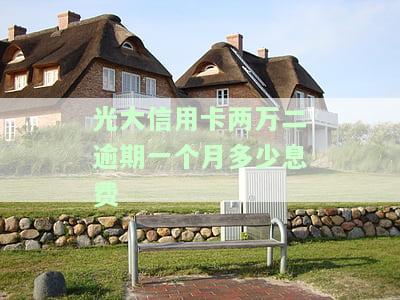 欠光大银行信用卡两万多没还会怎么样，拖欠光大银行信用卡2万多未还，可能面临的后果是什么？