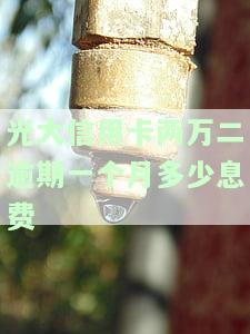 欠光大信用卡2万可以协商长期分期吗，如何与光大银行协商长期分期偿还2万信用卡债务？