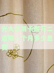 欠光大信用卡2万5今天说起诉我了，该如何处理？