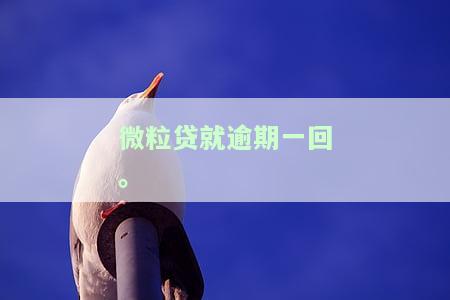 微粒贷就逾期一回会怎么样，逾期一回微粒贷会有什么后果？