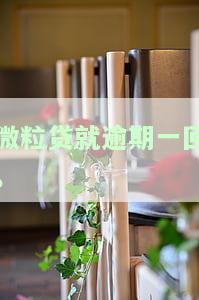 微粒贷逾期后额度是否受影响？如何处理逾期情况？