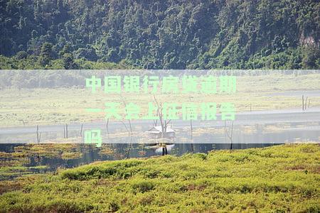 中国银行房贷逾期一天会影响征信吗？如何解决逾期问题？