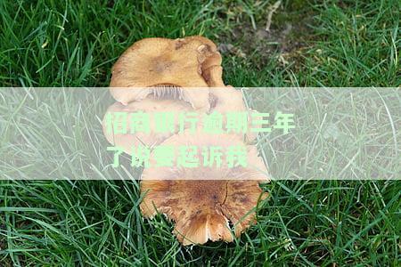 招商银行欠款3万逾期7月现在银行说要起诉我怎么办，紧急求助：招商银行欠款3万逾期7月，现遭银行起诉，我该怎么办？