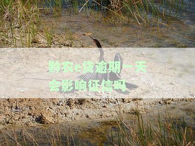 黔农e贷逾期一天还款后还能再借吗？安全性如何？