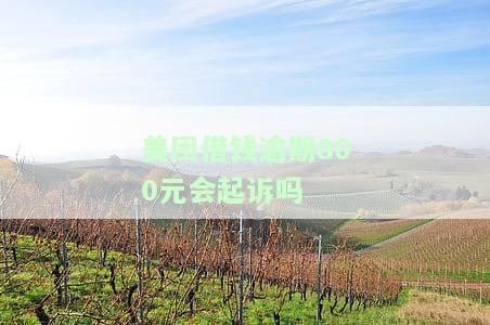 美团借钱逾期800元会起诉吗知乎，美团借钱逾期800元是否会面临起诉？——知乎用户分享经验与建议