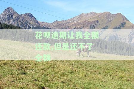 花呗逾期让我全额还款,但是还不了全额咋办，花呗逾期全额还款困难，应该怎么办？