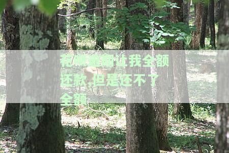 花呗逾期让我全额还款,但是还不了全额-花呗逾期让我全额还款,但是还不了全额怎么办