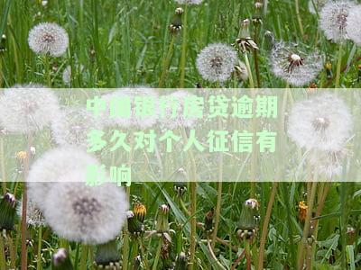 中国银行房贷逾期利息怎么算，计算中国银行房贷逾期利息的步骤与方法