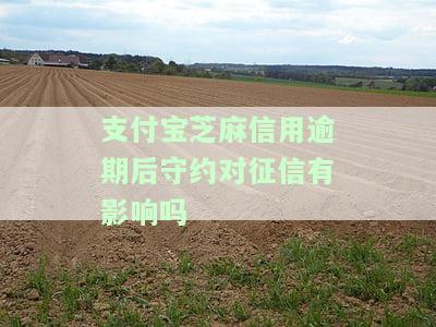 支付宝芝麻信用逾期后守约对征信有影响吗？安全吗？