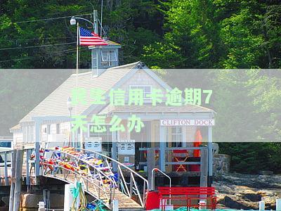 民生信用卡7000逾期半年处理方法及影响