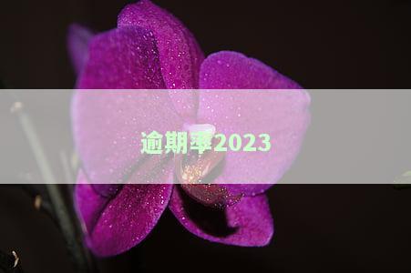 逾期率怎么计算，如何计算逾期率？一份详尽的指南