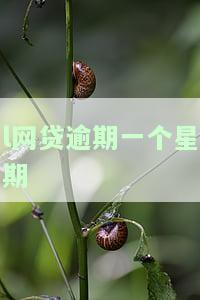 网贷逾期一周会有什么影响？知乎用户分享经验