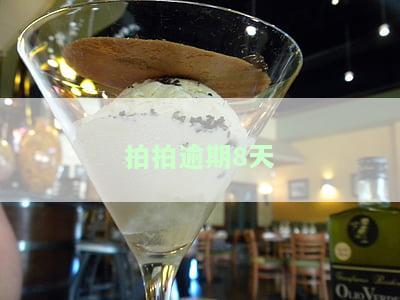拍拍逾期100天，还能在上安全还款吗？