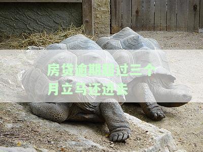 房贷逾期超过三个月能否立即还款？影响及解决方案