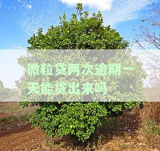 微粒贷两次逾期一天，还能申请贷款吗？安全吗？