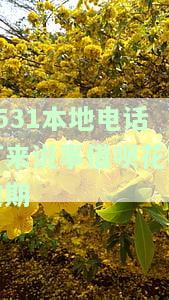 花呗借呗逾期接到电话说去家里真的假的？逾期半年，接到电话称要上门调查