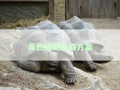 美团逾期协商方案的申请流程，美团逾期协商方案：申请流程详解