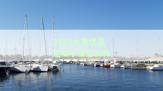 小象优品逾期一次就不能再申请了吗，小象优品逾期一次，是否意味着无法再次申请？
