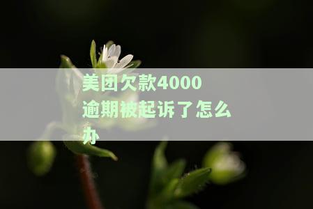 美团逾期会被起诉吗？真还不上怎么办？教你如何避免法律责任