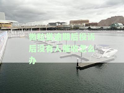 微粒贷逾期后投诉后没有人催收怎么办呢，微粒贷逾期后投诉无人催收？解决办法在此！