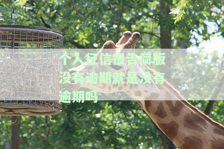 个人征信报告无逾期记录，显示正常情况