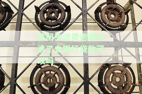 美团生活费逾期还款后是否能再次借款？安全性如何？