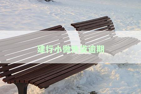 建行小微快贷逾期后上个人征信吗，关于建行小微快贷逾期后是否会上个人征信的问题解析