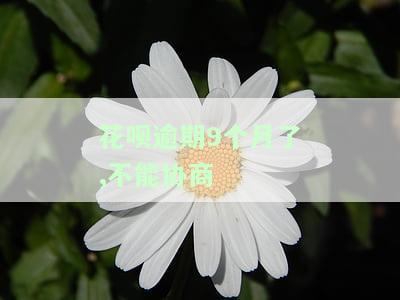 花呗逾期9个月了,不能协商还本金，如何处理花呗逾期9个月无法协商还本金的情况？