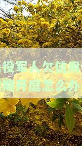 退役军人欠信用卡还不上：解决方法与可能后果