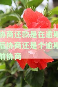 协商还款是在逾期后协商还是个逾期前协商-协商还款是在逾期后协商还是个逾期前协商呢